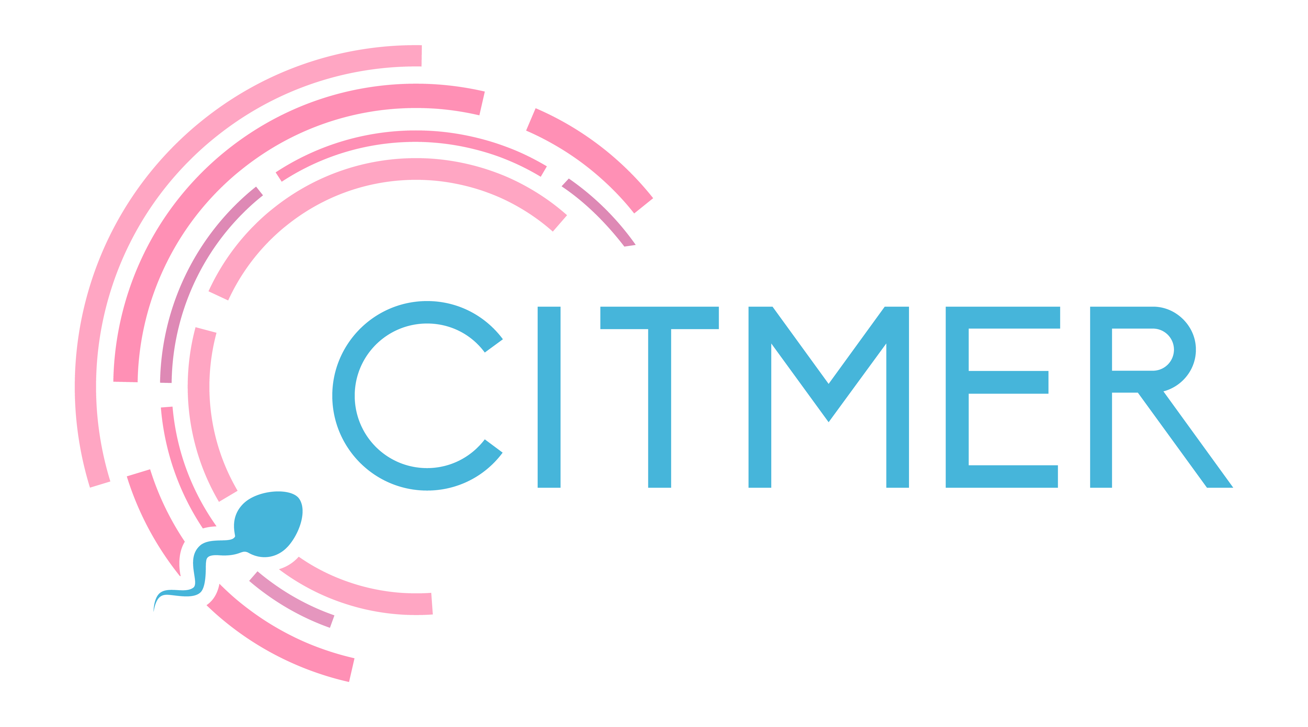 Citmer logo